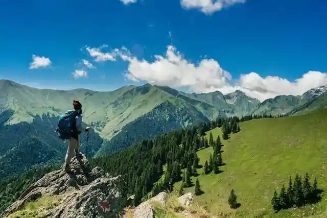 Hiker with backpack standing on rocky outcrop overlooking green mountain valley with pine trees